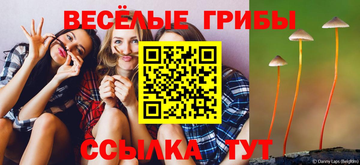 Можга  Галлюциногенные грибы мицелий  Вход с VPN 