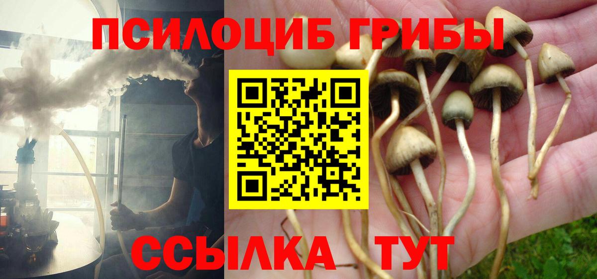 Псилоцибиновые грибы ЛСД Можга