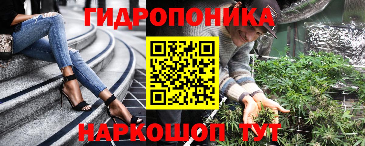Канабис Amnesia Можга